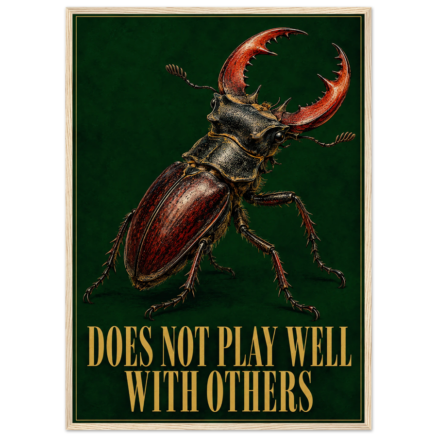 DOES NOT PLAY WELL WITH OTHERS, wooden frame, wood frame