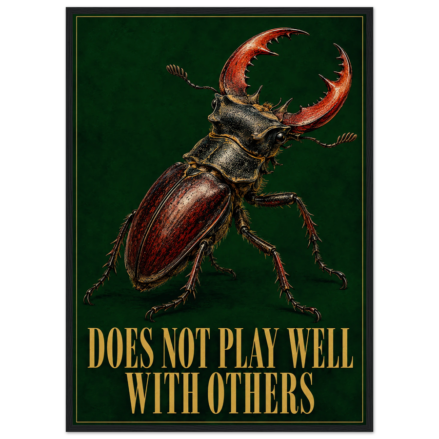 DOES NOT PLAY WELL WITH OTHERS, wooden frame, black frame