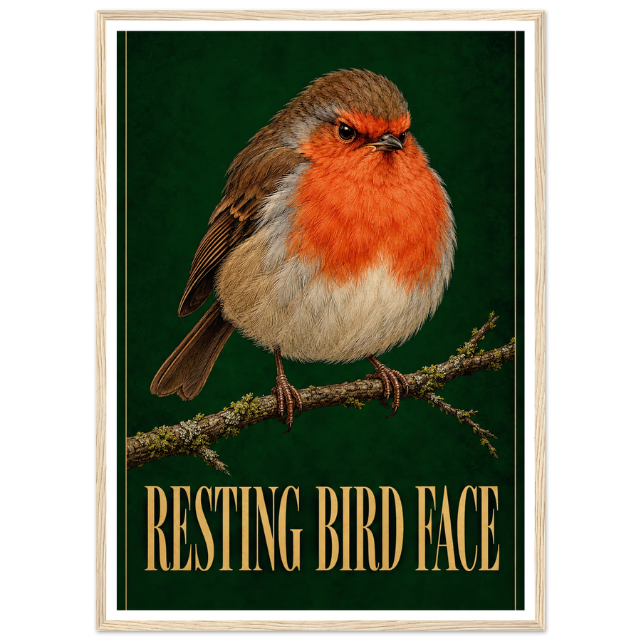 RESTING BIRD FACE, wooden frame, wood frame